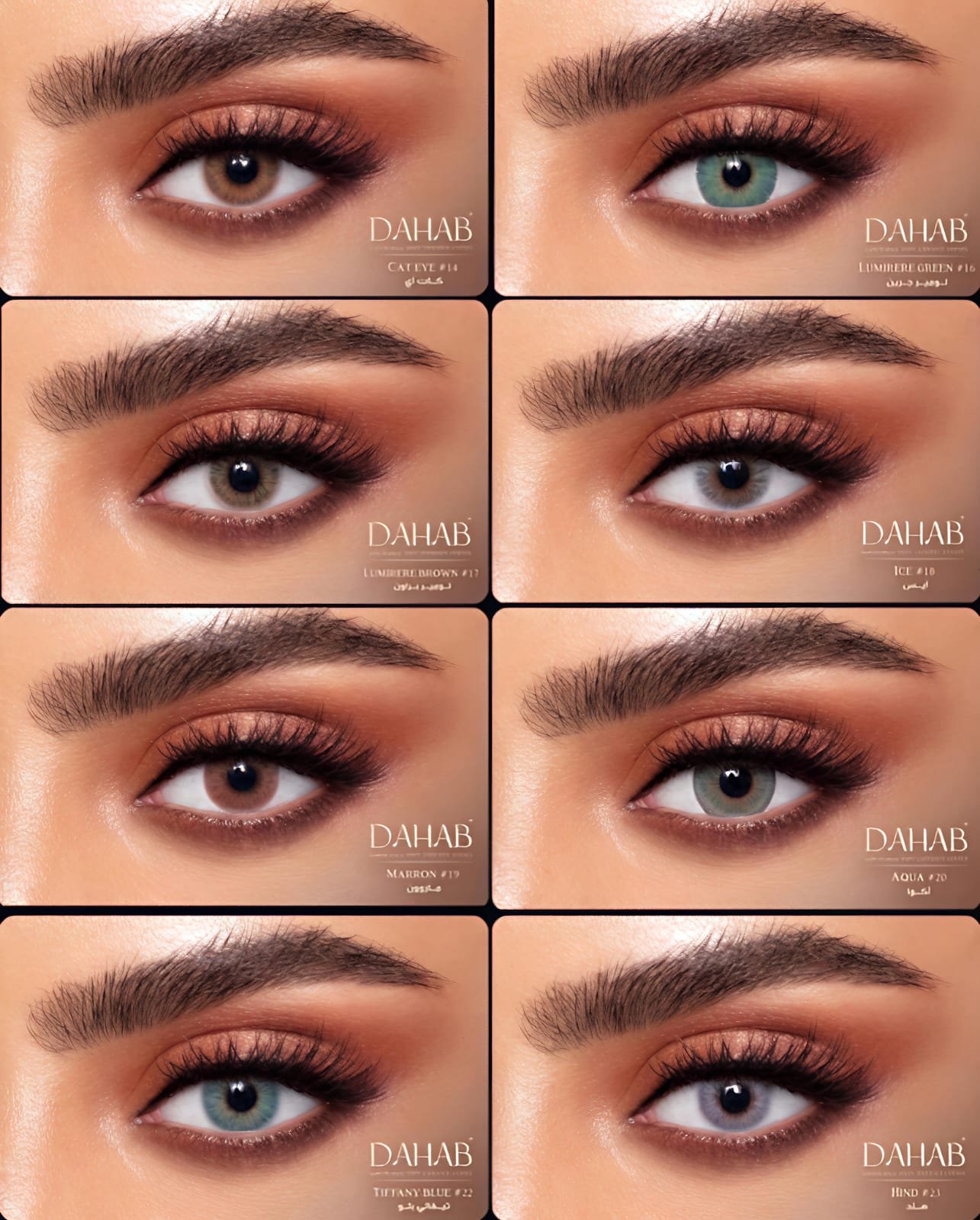 الكتالوج whatsapp image 2026 01 06 at 12.19.59 am (2)